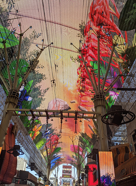 Fremont canopy